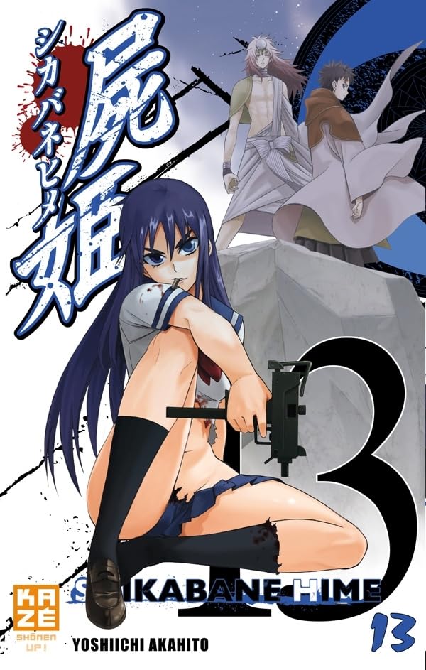 Tome 13