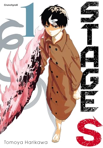 Couverture Stage S